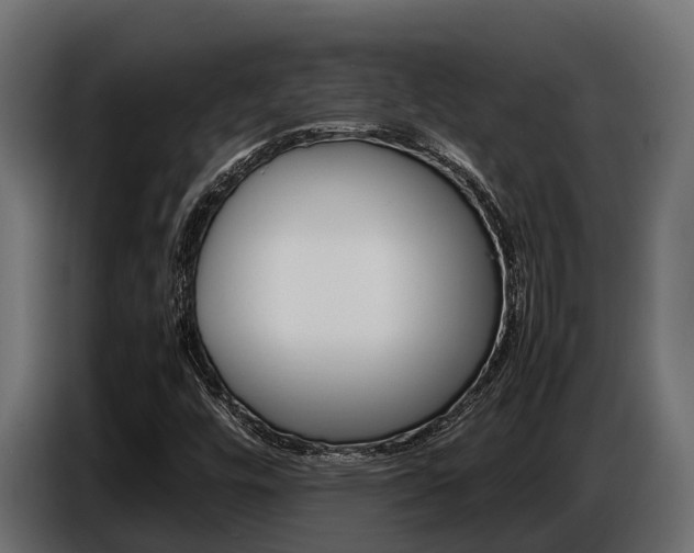X0000086771448200704130826