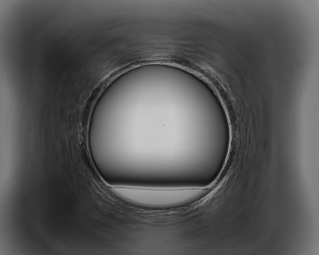 X0000086771449200704130826