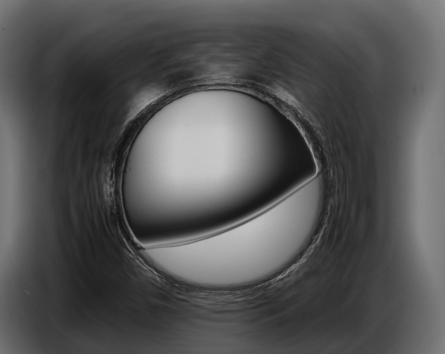 X0000086771450200704130826