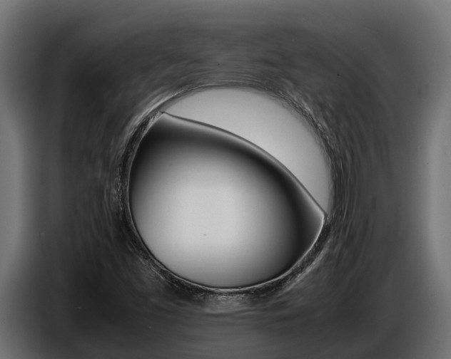 X0000086771453200704130826