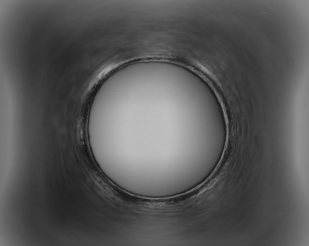 X0000086771455200704130826