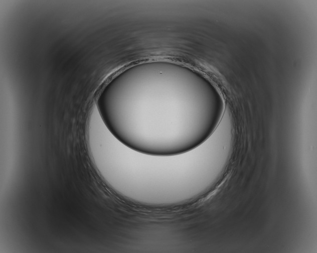 X0000086771457200704130826
