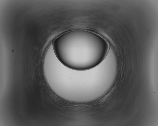 X0000086771461200704130826