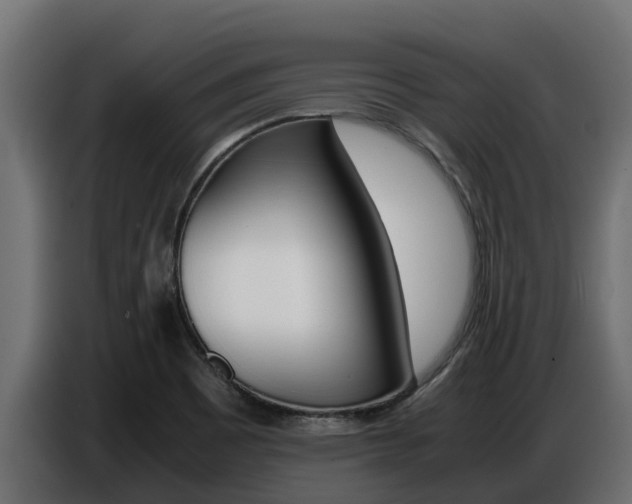 X0000086771465200704130826