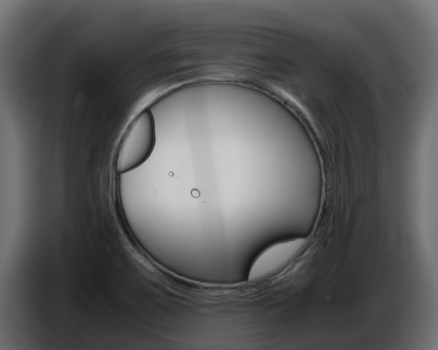 X0000086771467200704130826