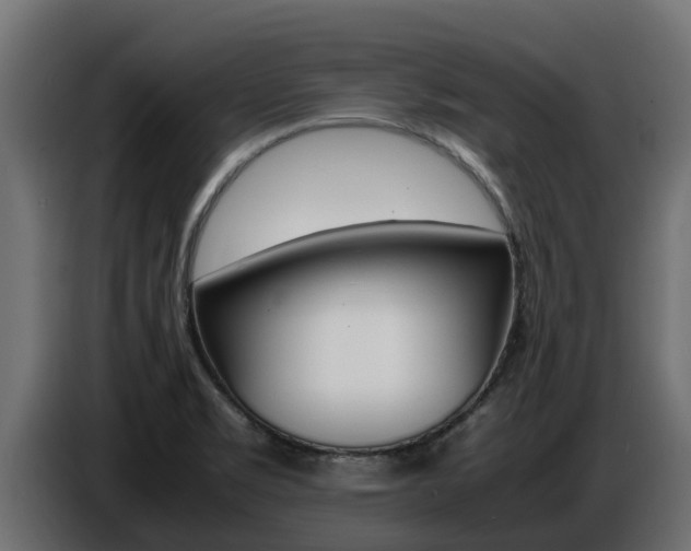 X0000086771469200704130825
