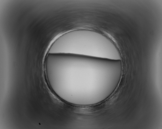 X0000086771471200704130825