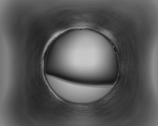 X0000086771472200704130825