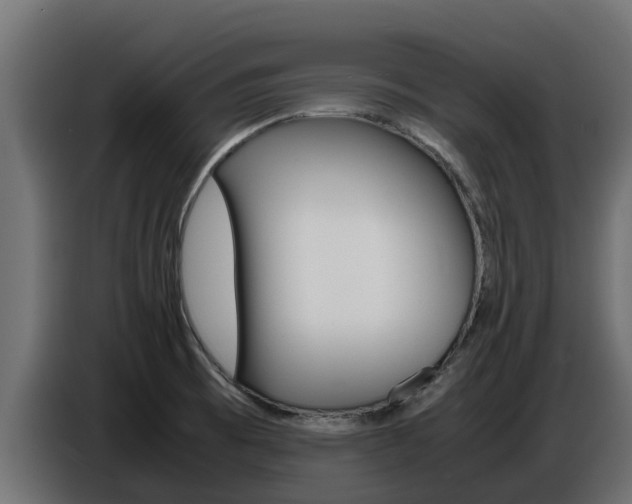 X0000086771473200704130825