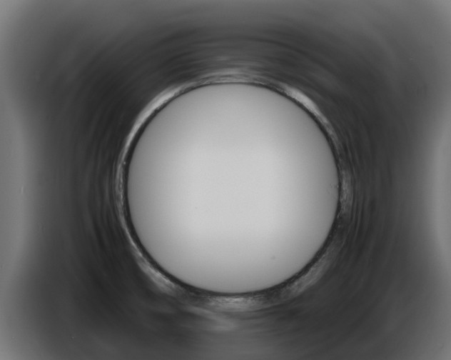 X0000086771474200704130825
