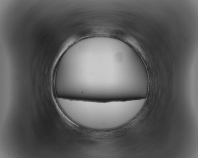 X0000086771475200704130825