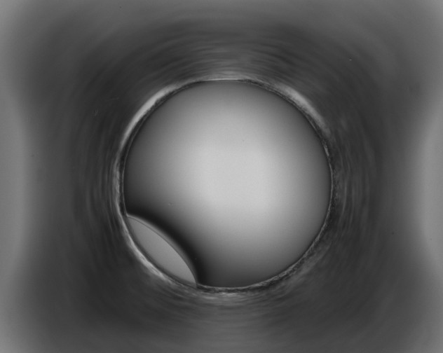 X0000086771476200704130825