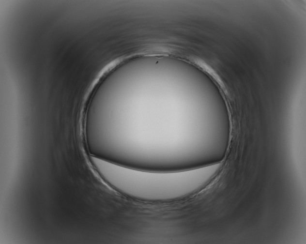 X0000086771477200704130825