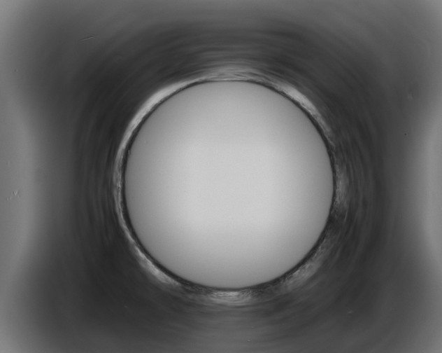 X0000086771478200704130825