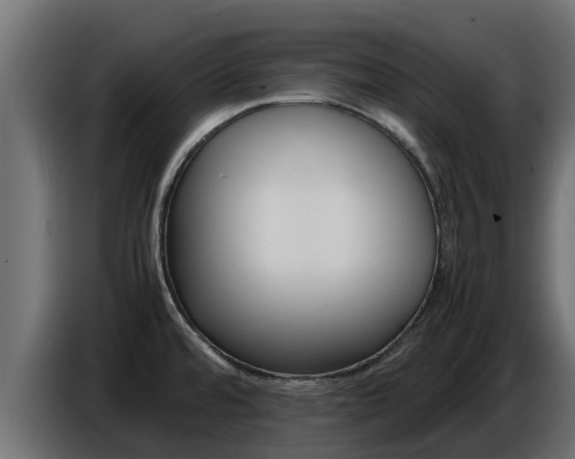 X0000086771480200704130825