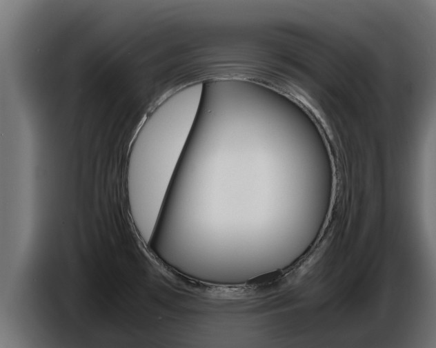 X0000086771481200704130825