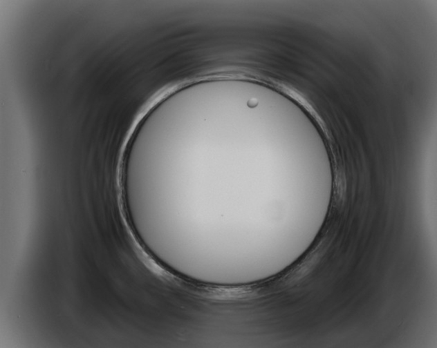 X0000086771482200704130825
