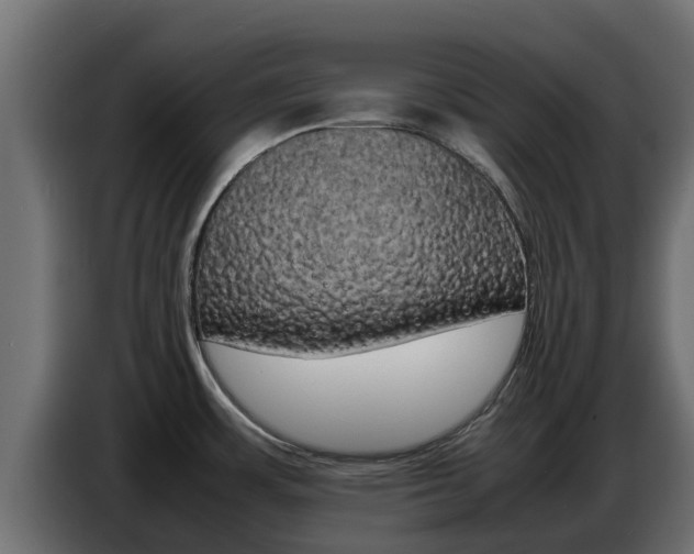 X0000086771483200704130825