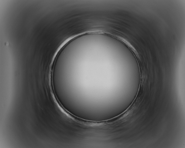 X0000086771484200704130825