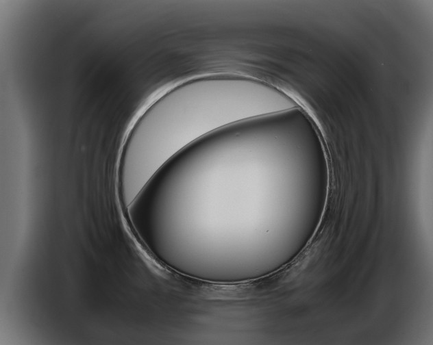 X0000086771485200704130825