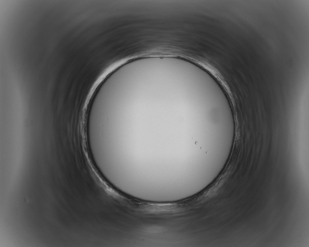 X0000086771486200704130825