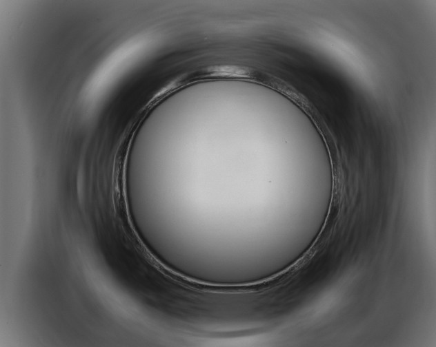 X0000086771487200704130825