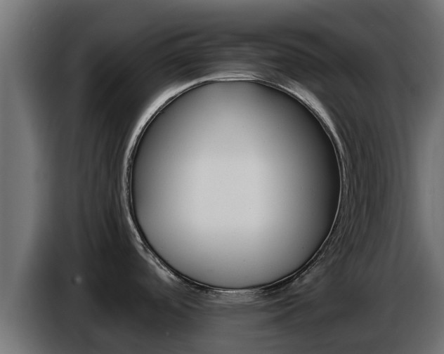 X0000086771488200704130825