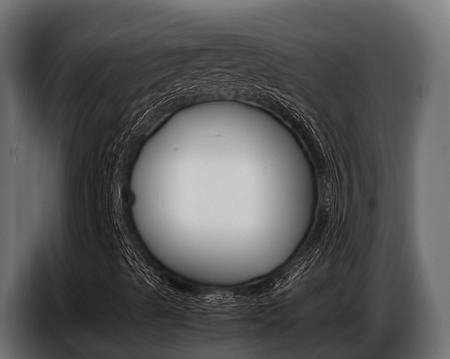 X0000086771489200704130825