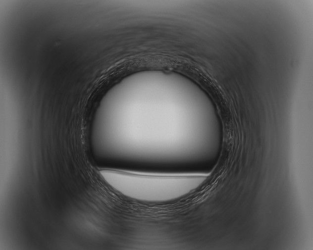 X0000086771490200704130825