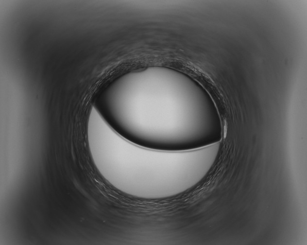 X0000086771492200704130825
