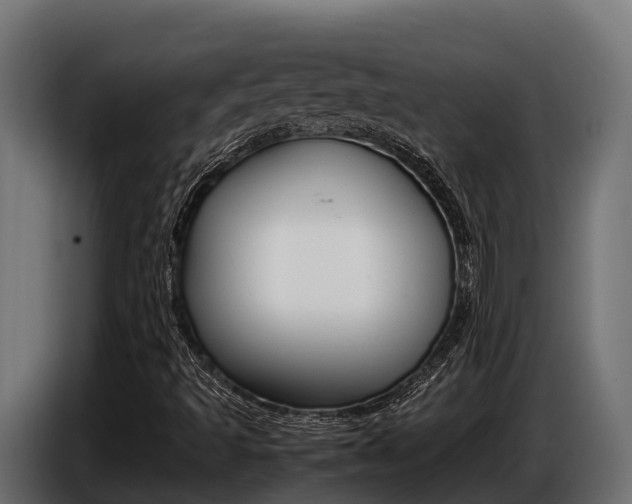 X0000086771493200704130825