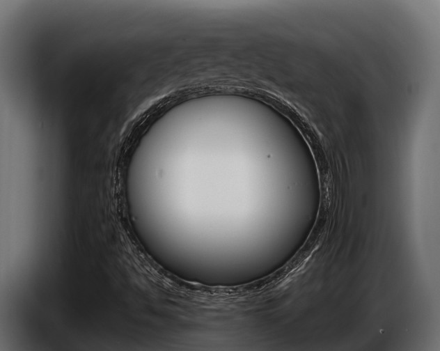 X0000086771494200704130825