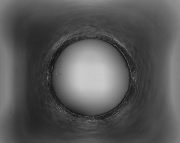 X0000086771495200704130825