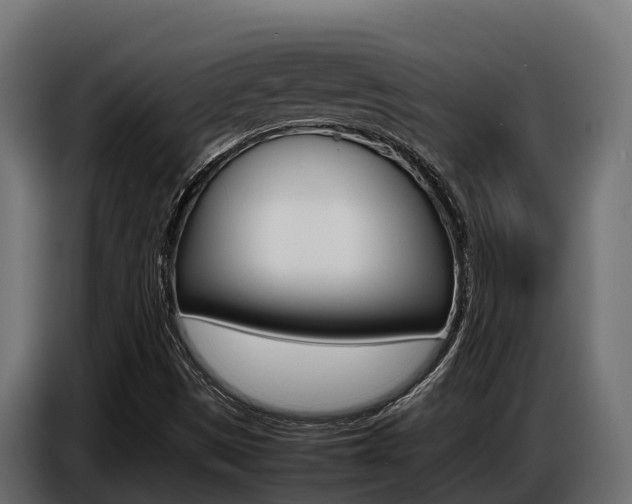 X0000086771497200704130825