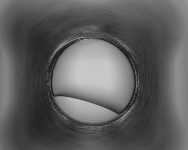 X0000086771498200704130825