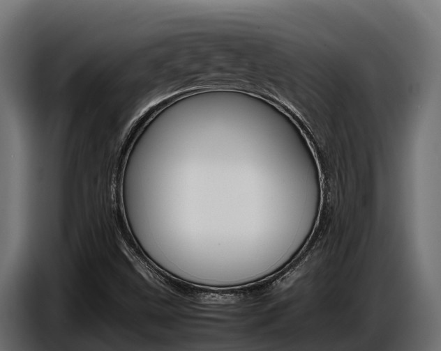 X0000086771499200704130825