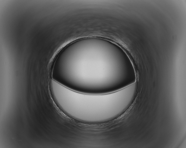 X0000086771500200704130825