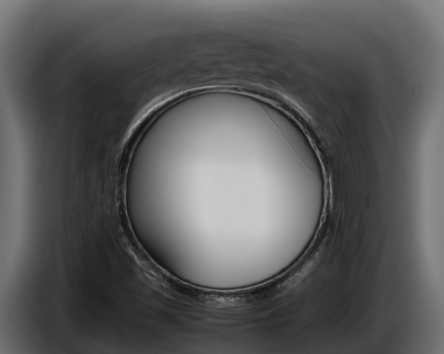 X0000086771501200704130825