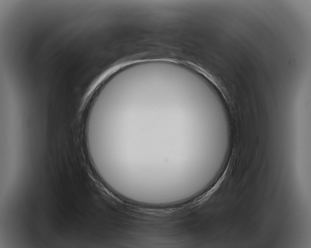 X0000086771502200704130825