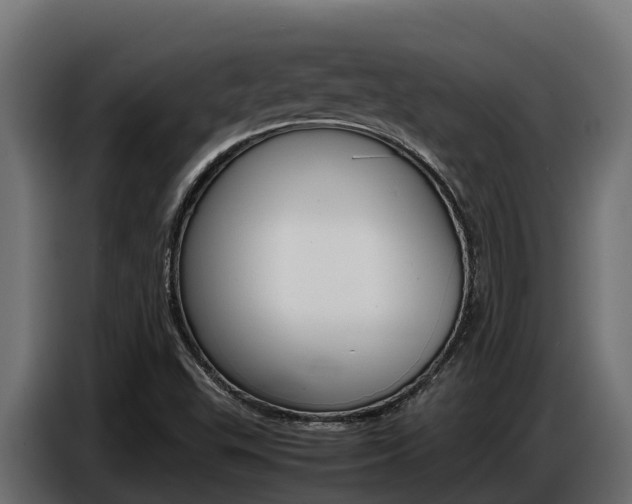 X0000086771503200704130825