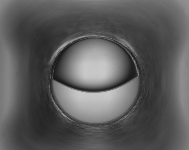 X0000086771504200704130825