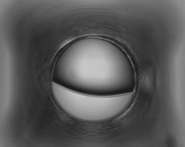 X0000086771505200704130825