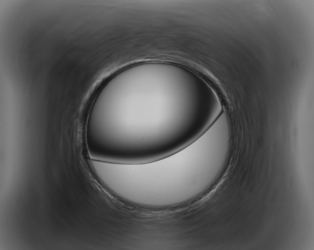 X0000086771506200704130825