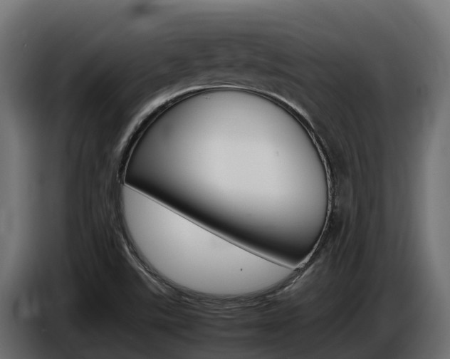 X0000086771507200704130825
