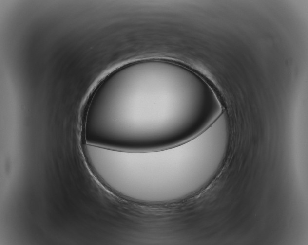 X0000086771508200704130825