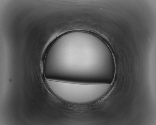 X0000086771509200704130825