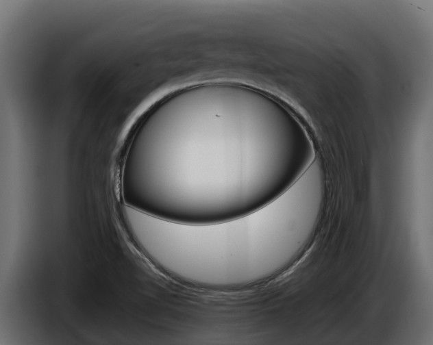 X0000086771510200704130825