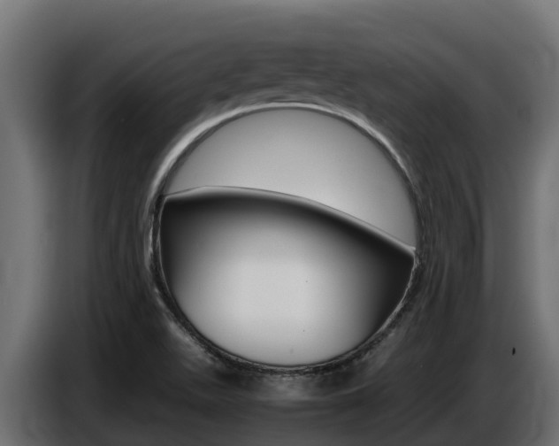 X0000086771511200704130825