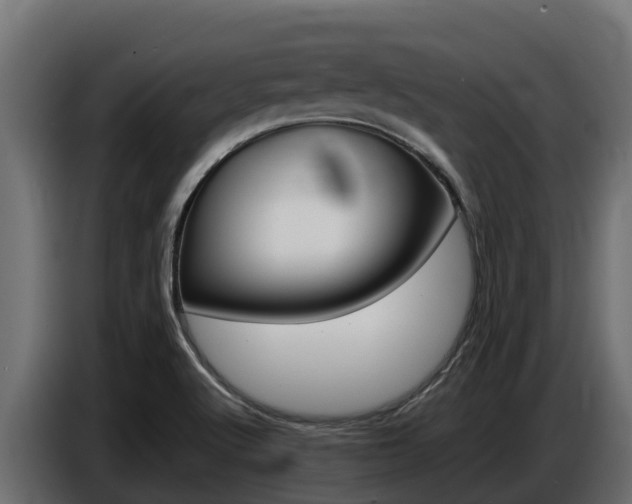 X0000086771512200704130825