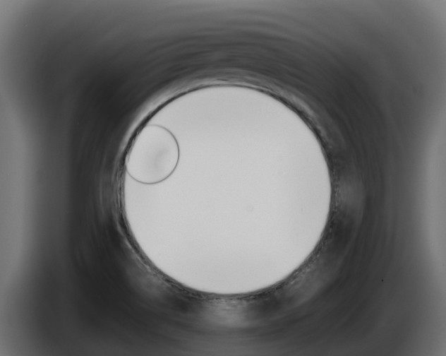 X0000086771514200704130825